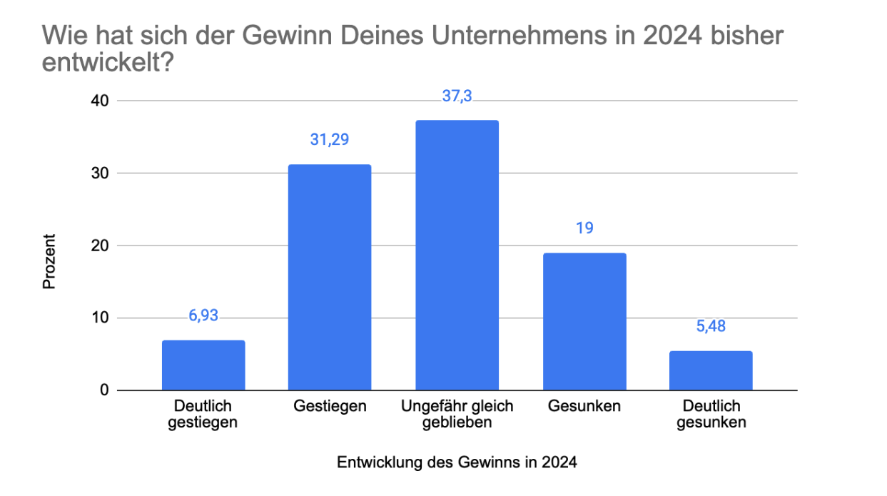 Entwicklung des Gewinns in 2024